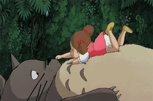 猫.gif