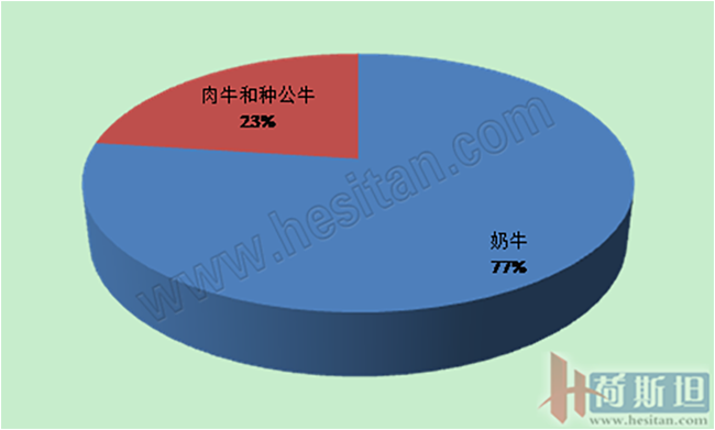 2.1-7月我国进口种牛3.9万头 主要来自澳大利亚和新西兰.png