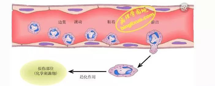 冻疮