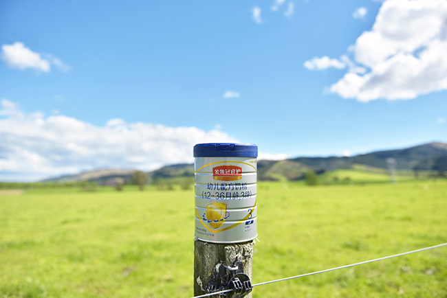 萃取新西兰"纯净之力",金领冠睿护践行伊利全球化硕果·奶粉智库