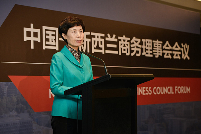 中国贸促会、中国国际商会会长高燕在中新商务理事会会议发表致辞