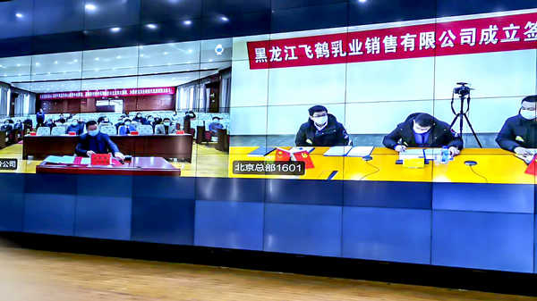 克东县与飞鹤乳业敲定再合作