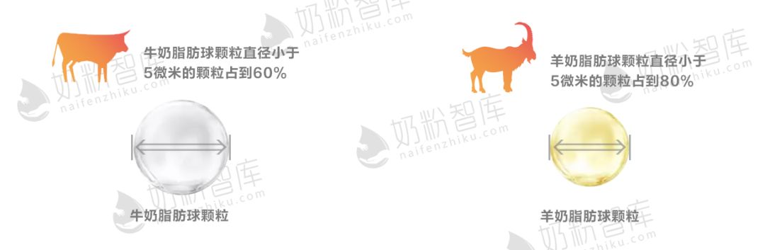 微信图片_20200708102136.jpg