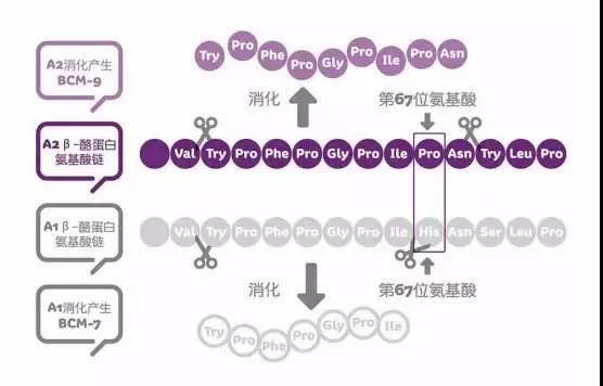 微信图片_20200829172255.jpg