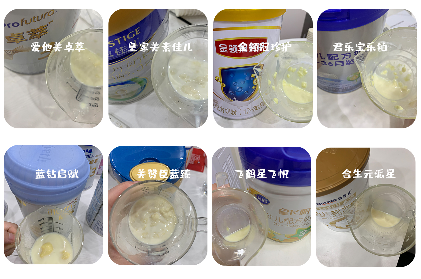 珍护冲调性2.jpg